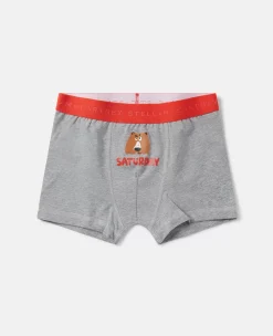7 Pack Of Bear Badge Days Of The Week Boxers