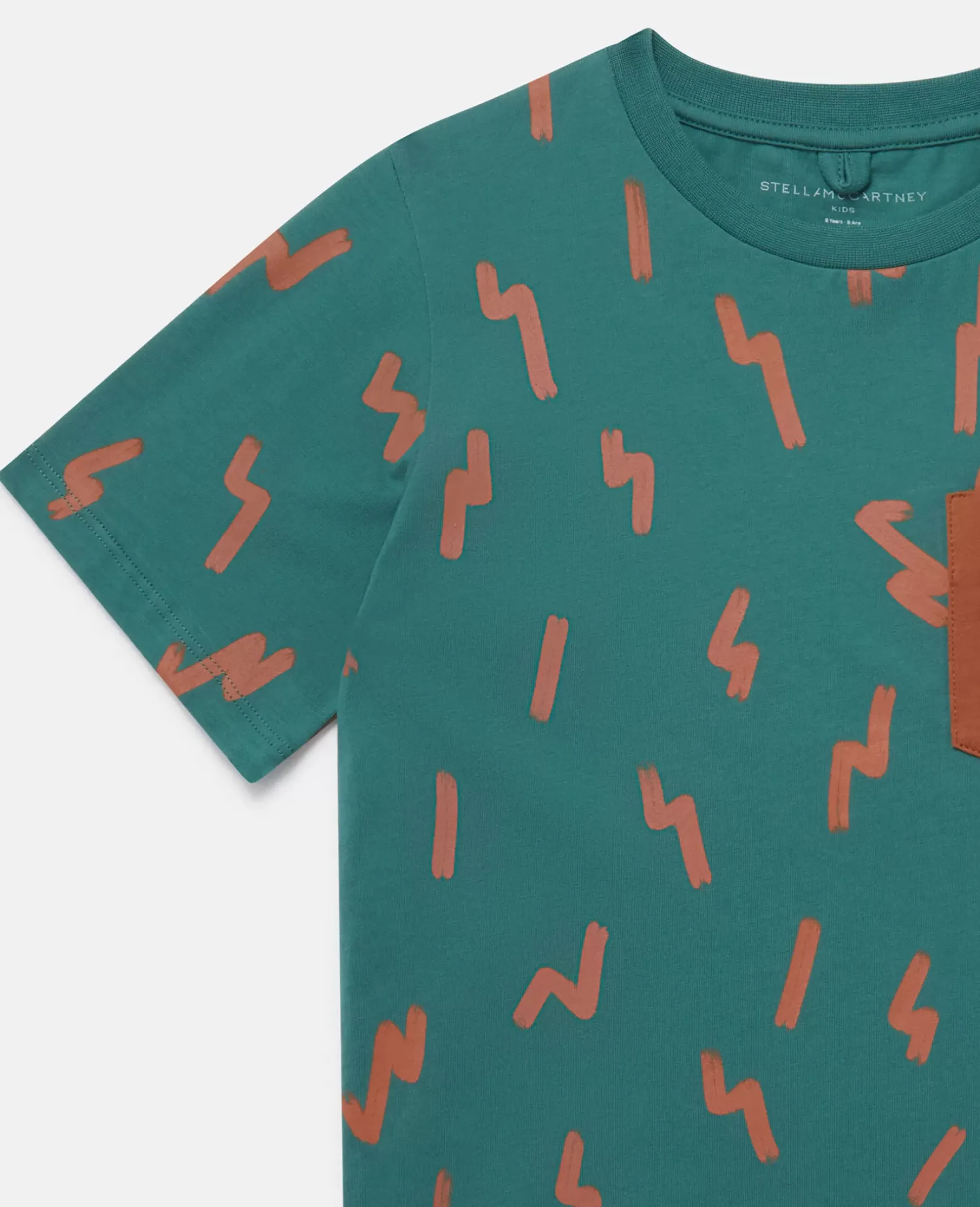 Lightning Strike Bear Pocket T-Shirt