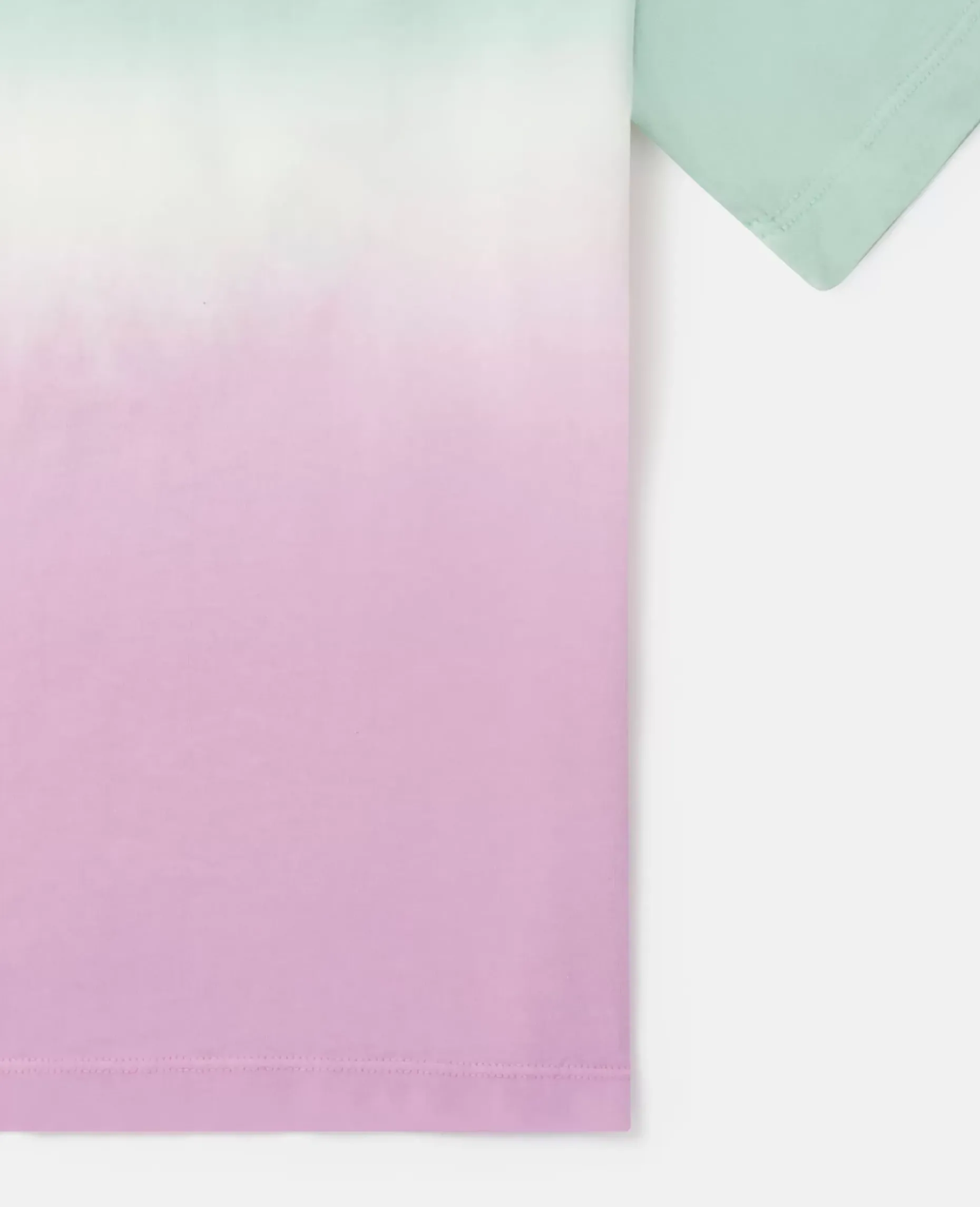 Medallion Logo Ombre T-Shirt