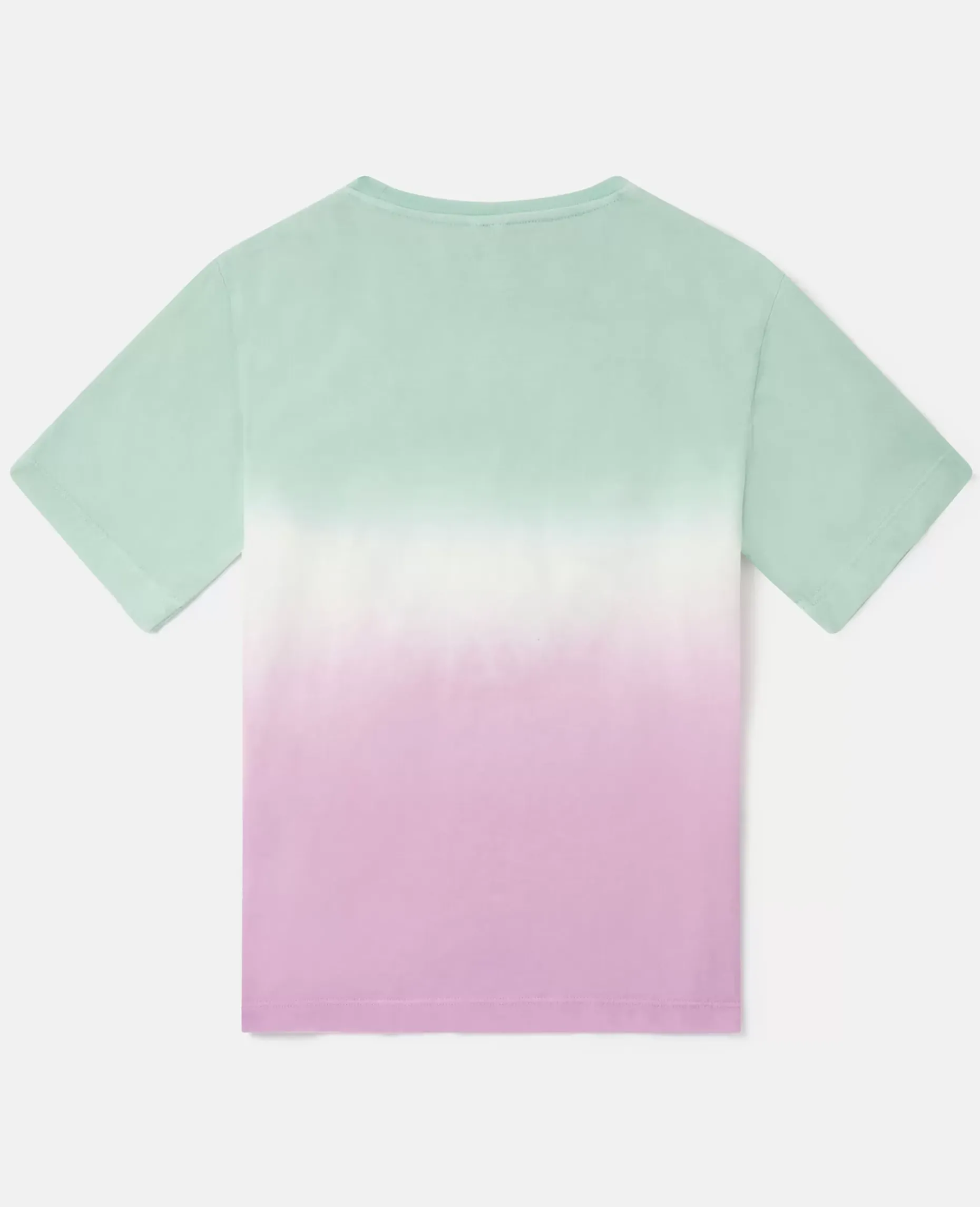 Medallion Logo Ombre T-Shirt