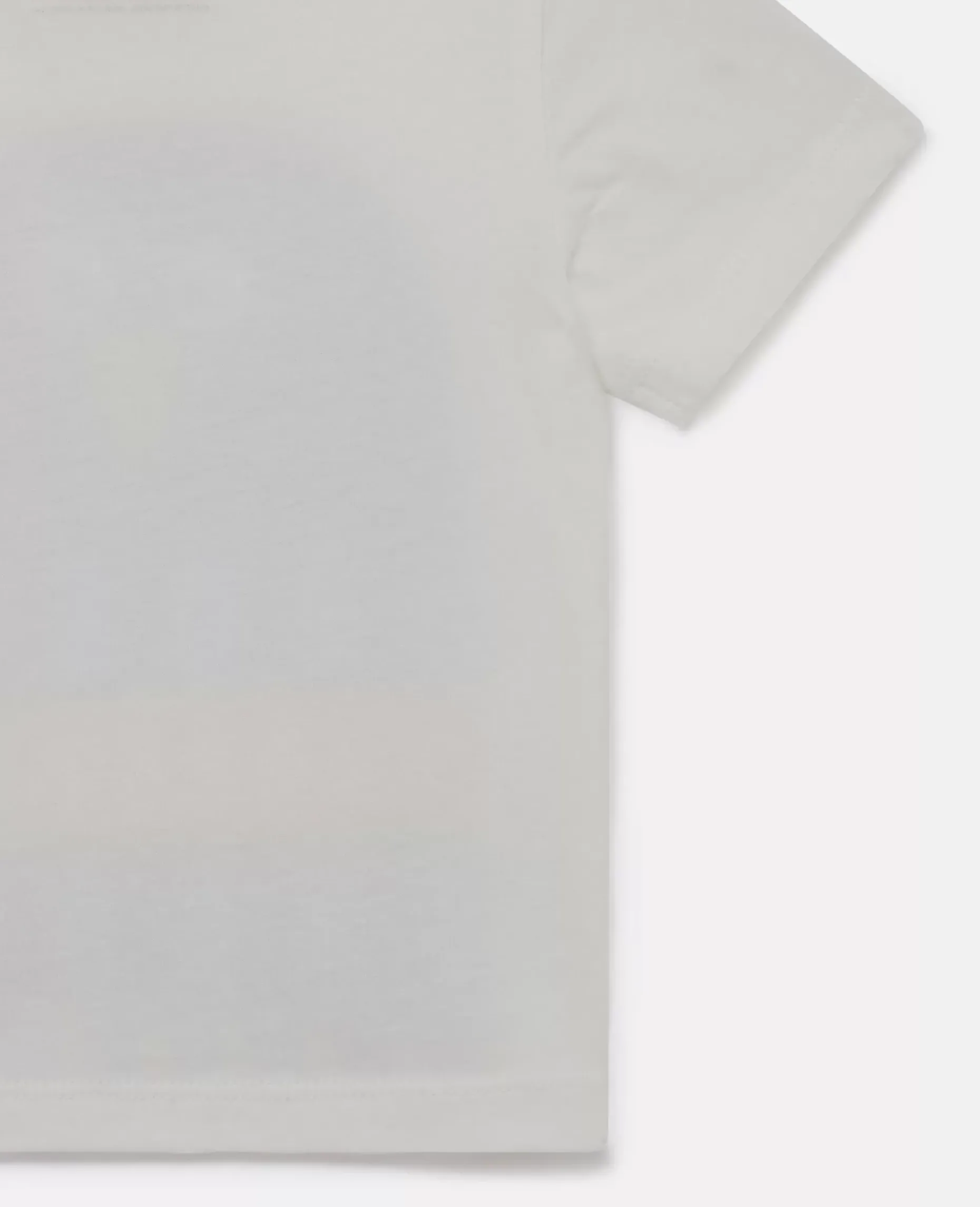 Penguin Scarf T-Shirt