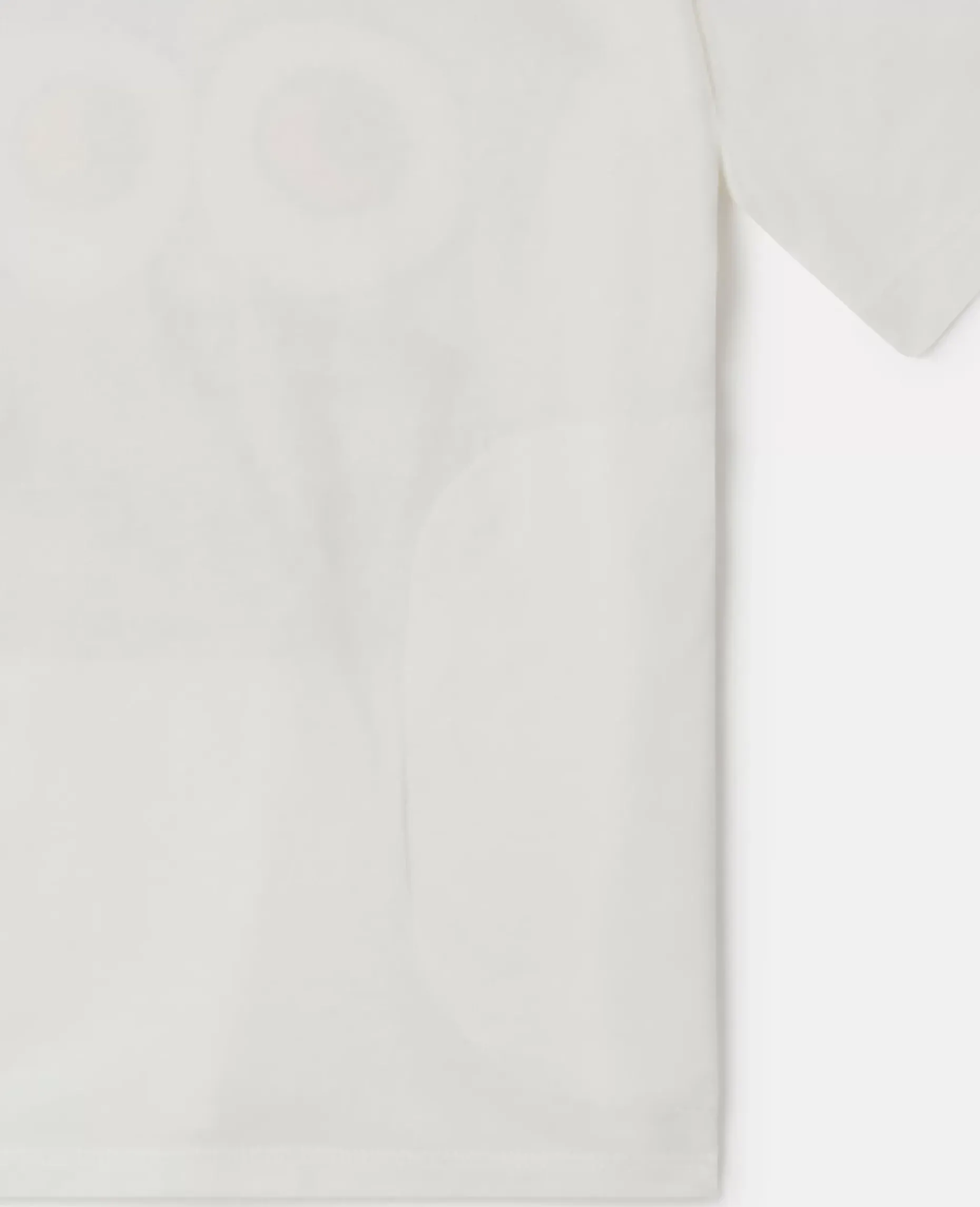 Silly Sandwich T-Shirt